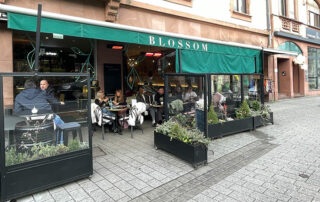 Blossom – you me & taste