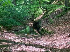  Beschädigungen im Naturschutzgebiet 
