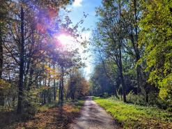 Wanderweg 