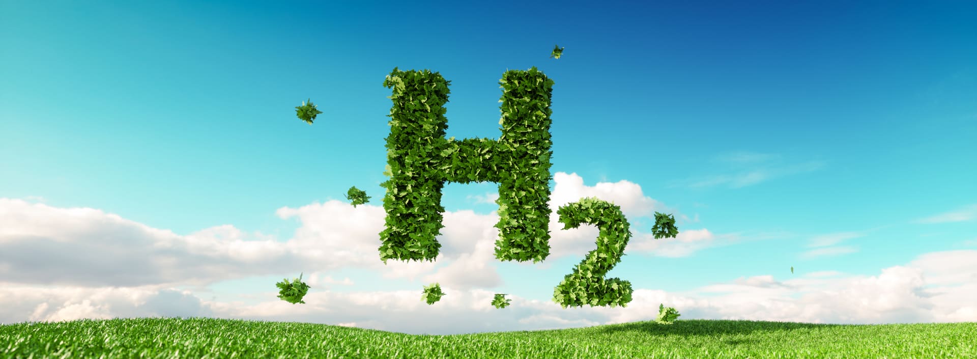 H2 aus Pflanzen schwebt in der Luft