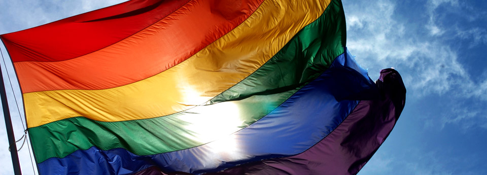 Flagge - Pride - Leben