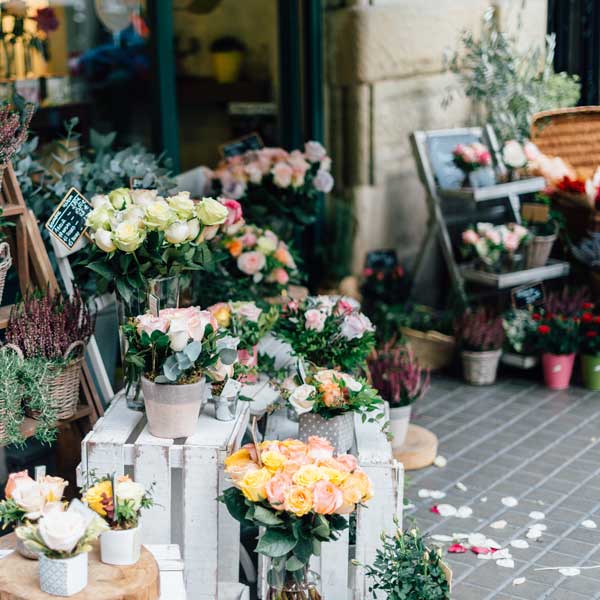 Pflanzen & Blumen in Aschaffenburg