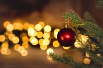 Fichtenzweig mit Weihnachtskugel 