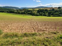 Feld mit Erosionsschäden
