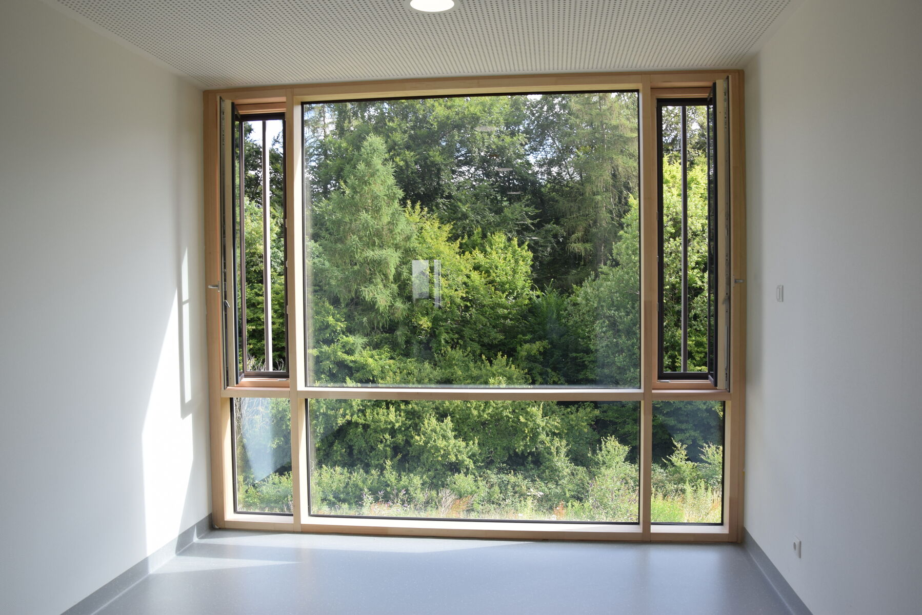 Blick in die Natur