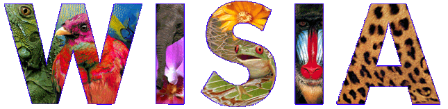 Wisia-Logo