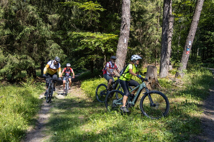 »E-Bike-Touren (© Tourismusverband Spessart-Mainland/Holger Leue)«