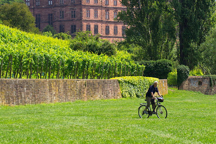 Radfahren in Aschaffenburg (Foto: Till Benzin)