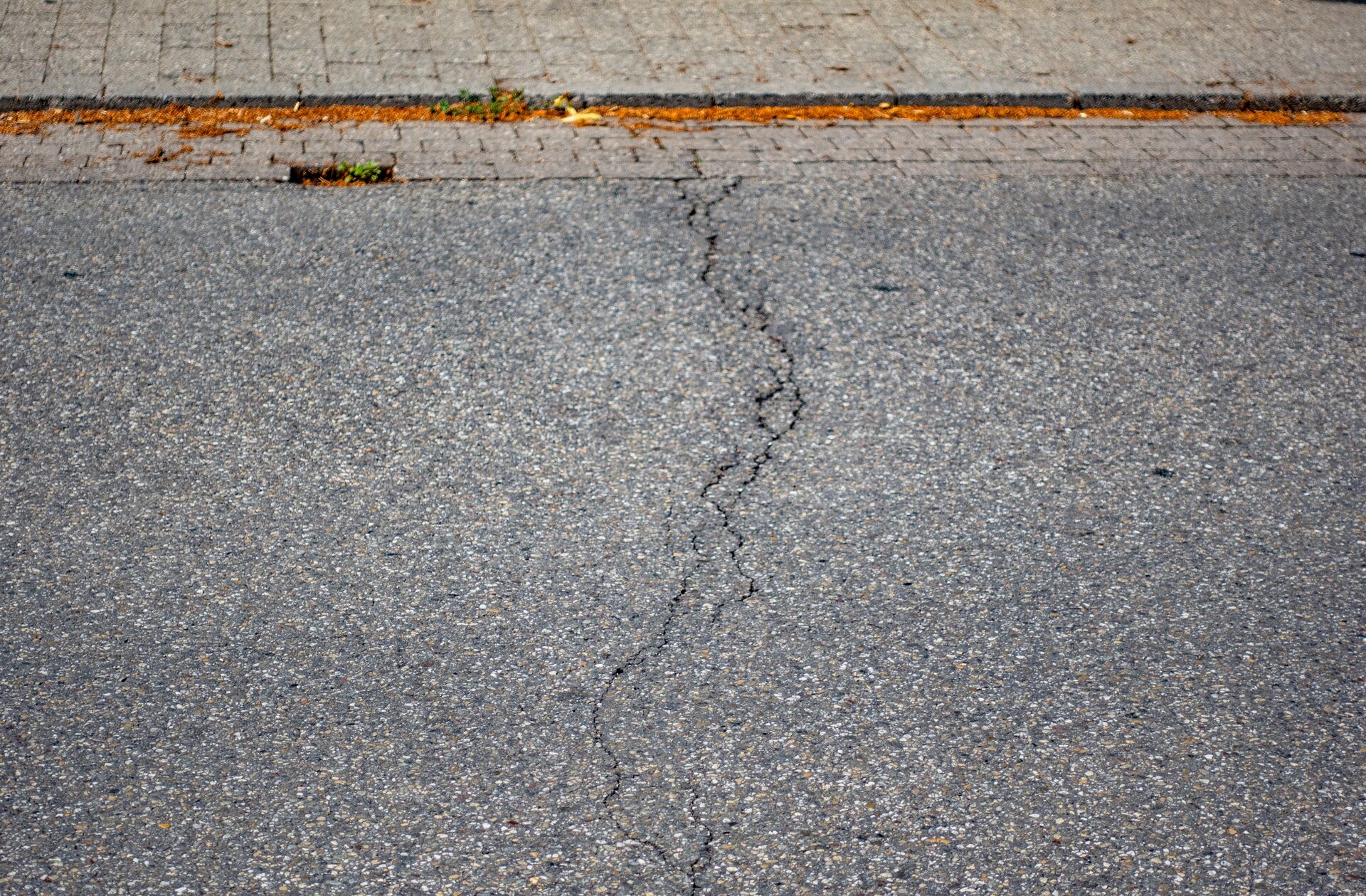 Riss im Asphalt