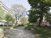 Grünfläche "Offenes Schöntal"